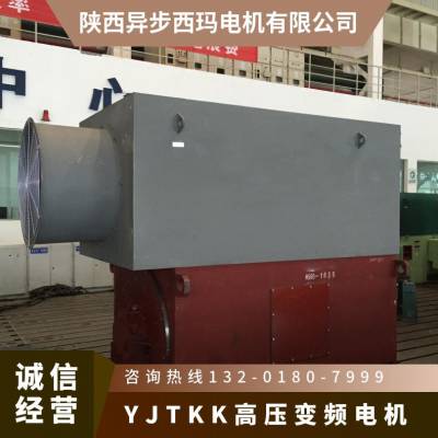 异步西玛 高压变频电机YJTKK5002-4 900kw效*** 更节能 电压6-10KV