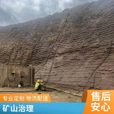 专业框格梁绿化承接护坡植草包工包料多年经验全国施工睿承公司