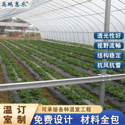 灵寿县无花果连栋大棚施工方案