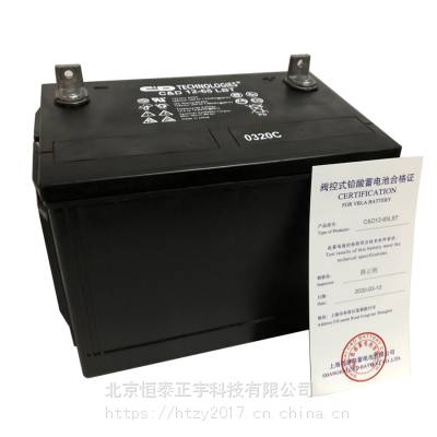 西恩迪蓄电池C&D12-100LBT 12V100AH UPS电源 直流屏配套