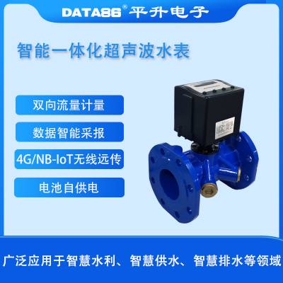 平升电子一体化超声波水表DATA-5513，4G/NB-IoT无线远传，电池自供电