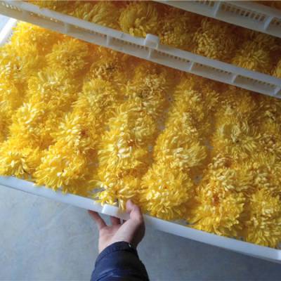 万寿菊烘干节能型万寿菊烘干烤房河南国信机械商家