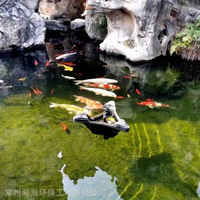 镇江市酒店景观鱼池净化公司