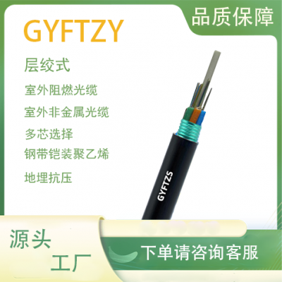 GYFTZY�ǽ������� ��ȼ���� ���ʽ�ṹ ��ģ��ģ о����ѡ