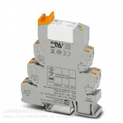 PLC-RSC- 24DC/21-21AU-¹***-˹̵