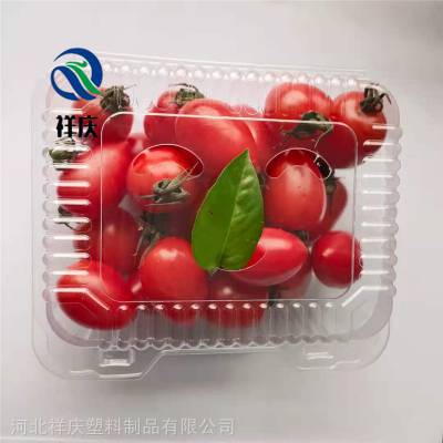 生鲜打包盒 一次性塑料盒批发 透明塑料盒尺寸 河北祥庆