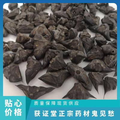 获证堂正宗药材鬼见愁 无硫中药材木患子 原材料肥珠子大量出售