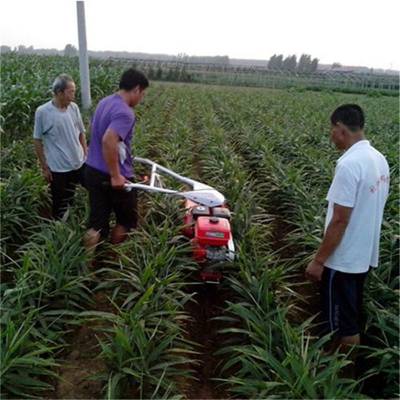 配套农具开沟机 小型大葱培土机 自走式烟叶起垄机 圣通