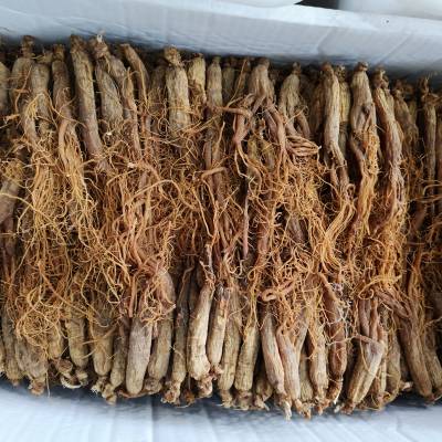 红人参须功效与作用 红参须哪里可以购买到多少钱一公斤-产地批发价格