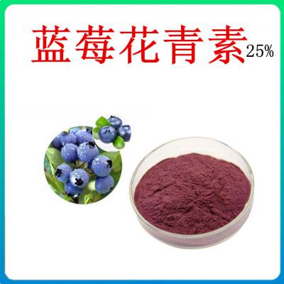 蓝莓花青素 乳品饮料常用原料 25%含量 水溶蓝莓粉