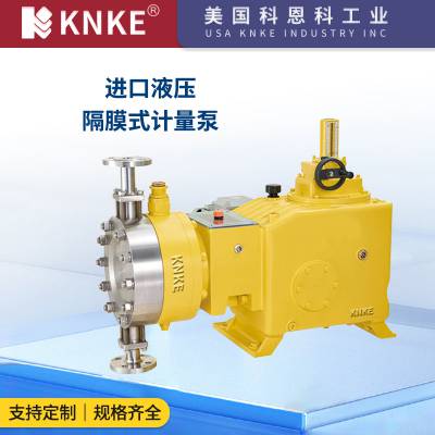 进口液压隔膜式计量泵 化工污水用 不锈钢材质 美国KNKE科恩科品牌