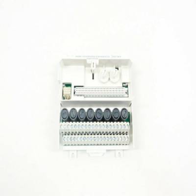 ӦGEIC695STK010̫ģ PLC Դ