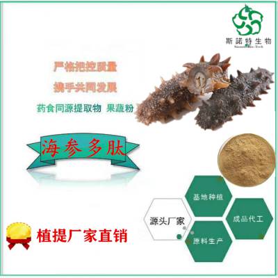 海参肽 植物低聚肽 分子量小 好吸收 斯诺特生物 包邮