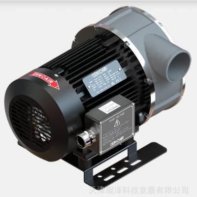 CA 2000-4L ۺ CENAIR ķCA 2000-4L CENAIR Ĺķ