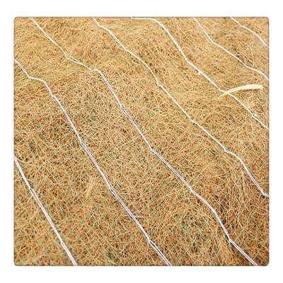 护坡生态毯 牡丹江椰丝毯 生态环保草毯 椰丝护坡草毯