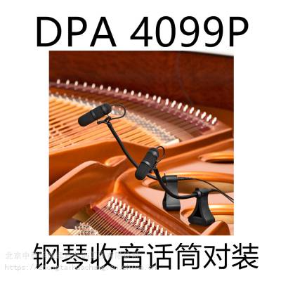 丹麦DPA 4099P 4099-DC-1-101-P原声钢琴录音收音扩声小振膜乐器电容话筒麦克风