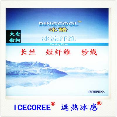 ȱ ICECOREE ȱ˿ ɴ ˿ ˿