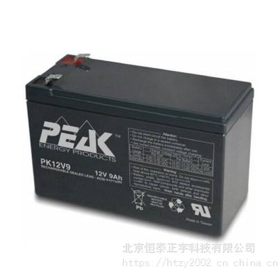 法国PEAK蓄电池PK12V9 12V9AH 精密仪器 UPS不间断电源配套