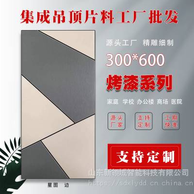 Ӧɵ۰ƷƬϣ˿ӡ300*600ϵ