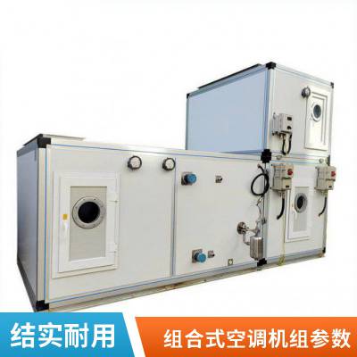 直彭式新风净化车间 恒温恒湿空气处理 组合式空调机组 洁净风冷热泵型机组