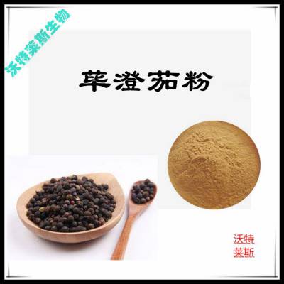 荜澄茄提取物 10:1 20:1 多种规格 可定做