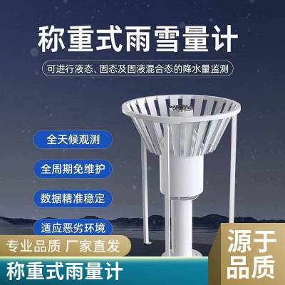 雨雪量计 通用型高精度称重式雪雨量计 可加热 称重式雨雪量监测设备