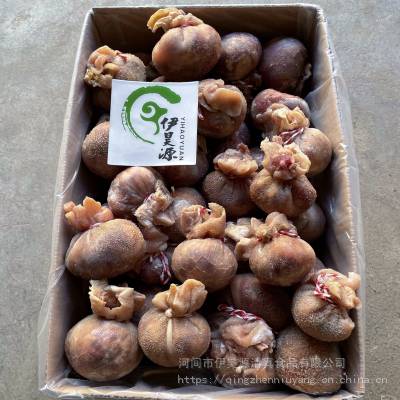 厂家直销 肚包肉 羊肚包羊肉 羊肚包肉 捆绳工艺 约3个/斤 口感***