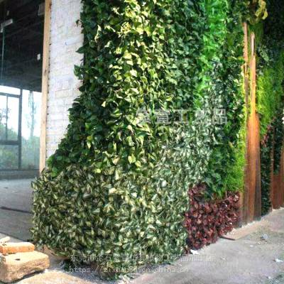 上海定制假植物墙上仿真绿植，墙面绿化装饰仿真植物墙软装设计