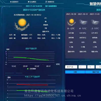 蒸汽计量结算系统STR-AF02 仪表UPS电源一般蒸汽抄表系统