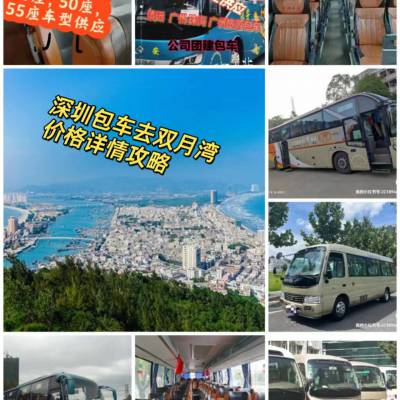 深圳南山上下班接送包车旅游大鹏西冲杨梅抗包车 南山深大旅游包车