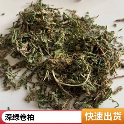 无硫正宗药材石上柏 无硫中药材金龙草 原材料龙鳞草出售