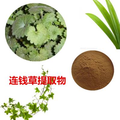 连钱草提取物 10:1 水提 全水溶粉 沃特莱斯生物