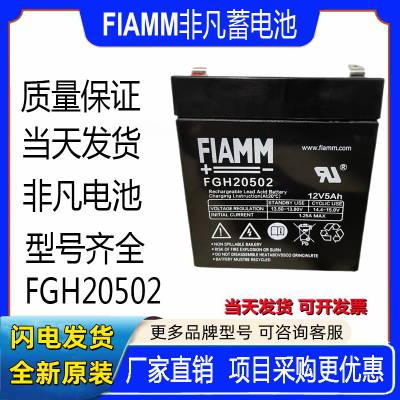 FIAMM***蓄电池FGH20502铅酸免维护阀控式密封12V5AH