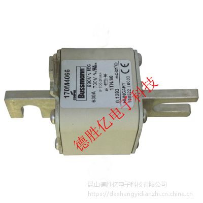 ӦBUSSMANN۶170M4058 200A 170M4059 250A