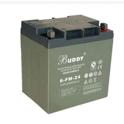 BUDDY6-CNJ-2412V24AHܴ۸