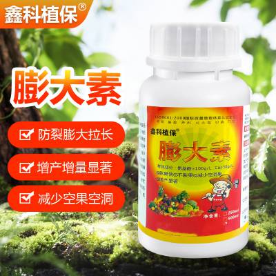 ز粡ήʲô