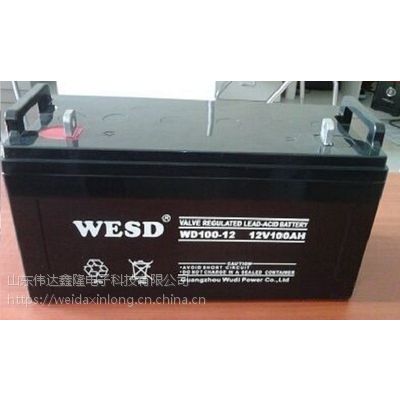 广东***蓄电池WD12-24 /12V24AH精选产品