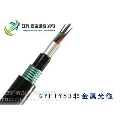 ǽ ³ GYFTY53-8B1