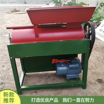 新款电动家用核桃脱皮机 青核桃去皮机 剥皮清洗一体机