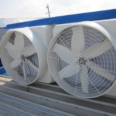 贵州毕节市 防爆负压风机 900型防爆负压风机 工业排风扇 厂家直销质量好