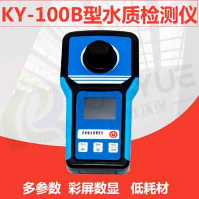 污水臭氧含量检测仪 KY-100B型臭氧水质测定仪