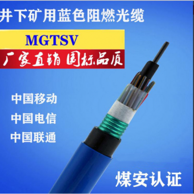 MGTSV-36B1矿用阻燃防爆通信光缆