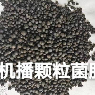 黑龙江双鸭山5亿微生物菌剂生根 抗重微生物菌剂颗粒机播