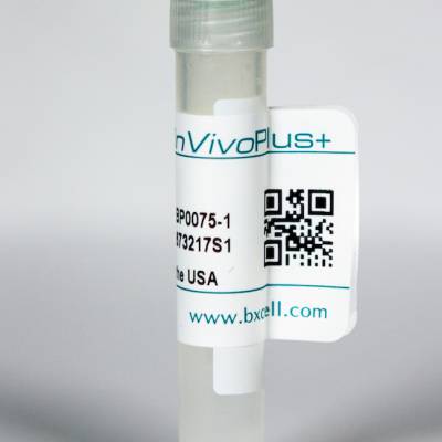 BioXcell InVivoPlus rat IgG2a isotype control BP0089-25MG