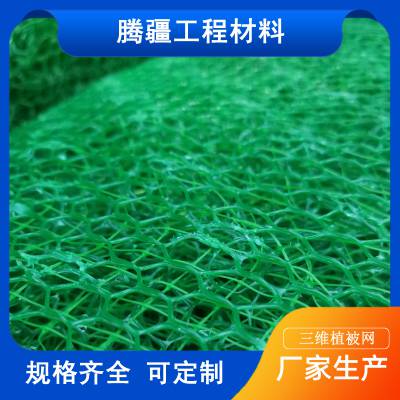 腾疆生产三维植被网固土绿化护坡EM2-EM5加筋式三维植被网可定制