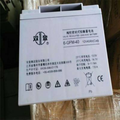 供应双登12V40AH蓄电池 6-GFM-40 铅酸免维护 UPS专用蓄电池