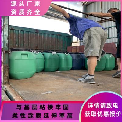 HEME弹性环氧改性防腐涂料 高性能 二沉池 生化池 混凝土