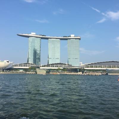 青岛出新加坡海运拼箱 周三 日 直航12天左右 可以送货上门