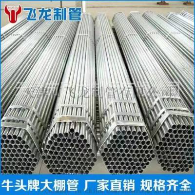 25连栋肩并肩棚25*1.0连栋简易棚