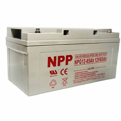  NPG12-65 12V6***H ǦάUPSԴרõ